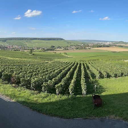Au Coeur Du Terroir Champenois Villa Chavot-Courcourt Bagian luar foto