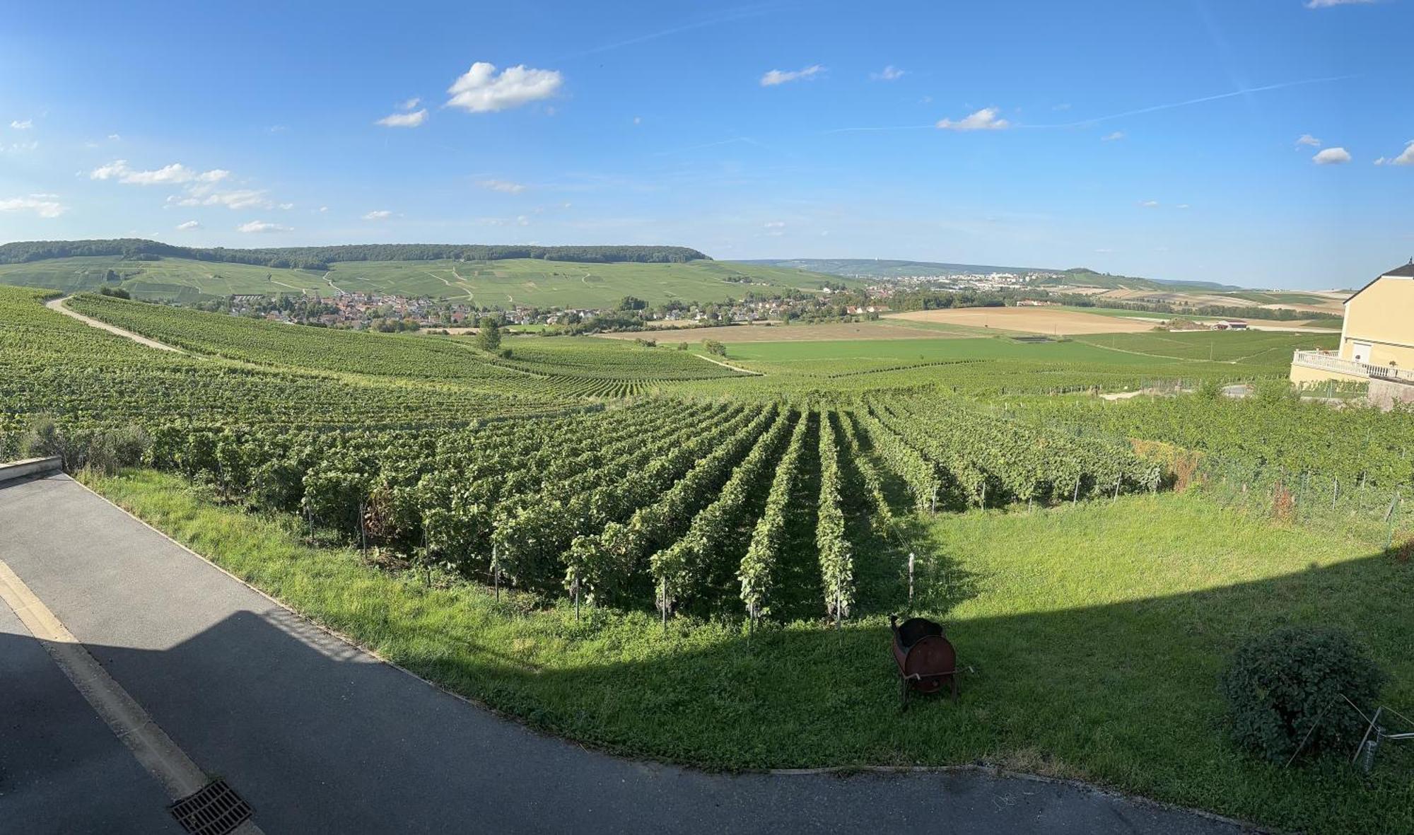 Au Coeur Du Terroir Champenois Villa Chavot-Courcourt Bagian luar foto
